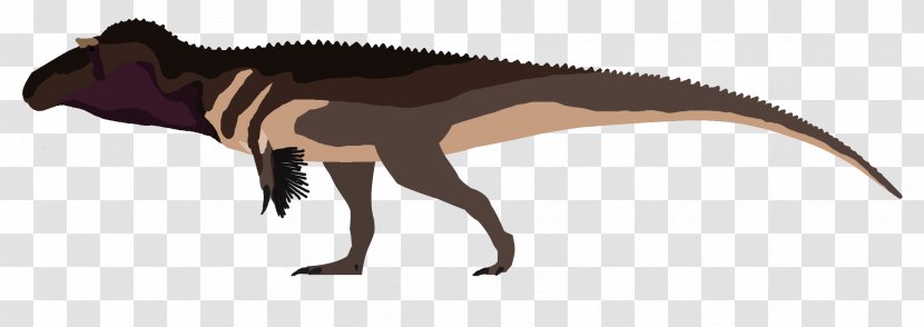 Torvosaurus Tyrannosaurus Acrocanthosaurus Yutyrannus Australovenator - Albertosaurus - Fine Feathers Transparent PNG