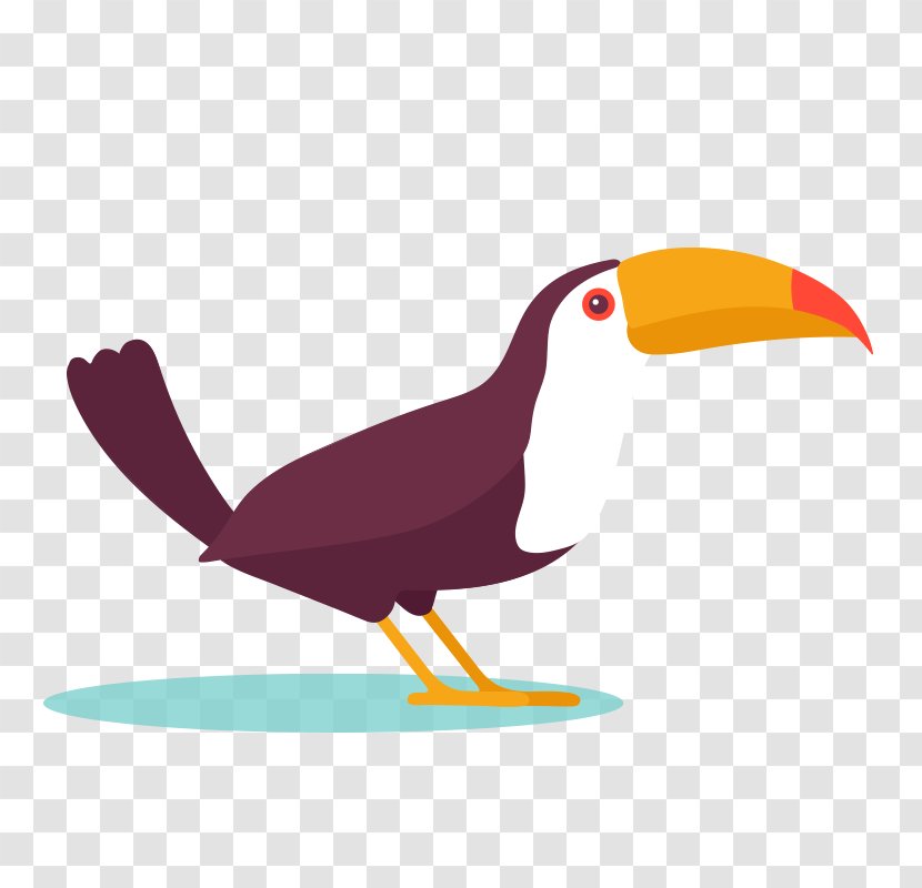 Bird Design Parrot Drawing - Ducks Geese And Swans - Simple Transparent PNG