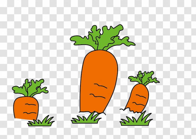 Rabbit Radish Creative Work Painting Illustration - Child - Carrot Transparent PNG