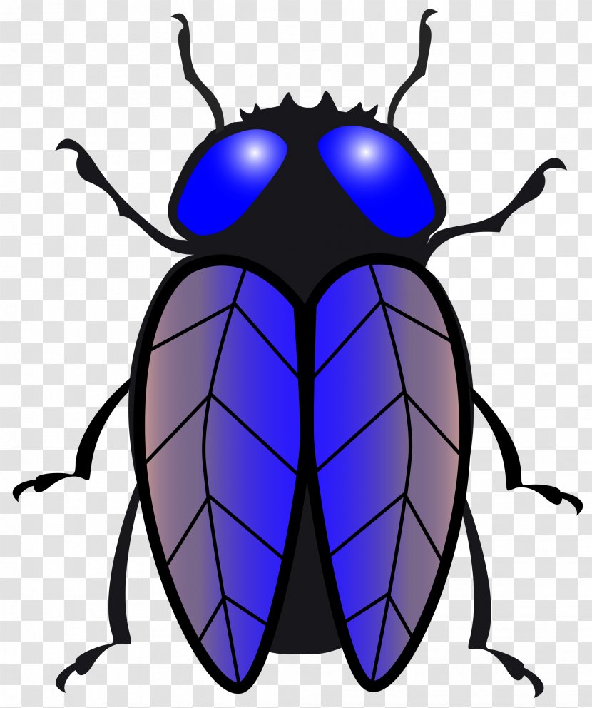 Housefly Insect Clip Art - Artwork - Fly Transparent PNG