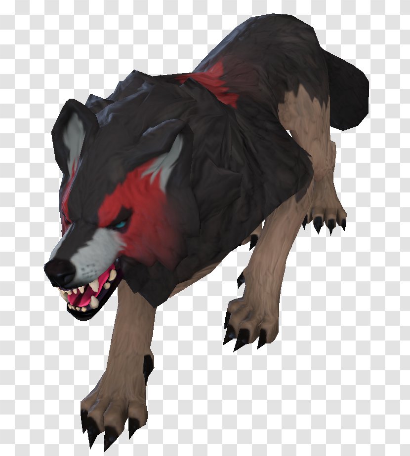 Bear Dog Canidae Snout Mammal - Like Transparent PNG