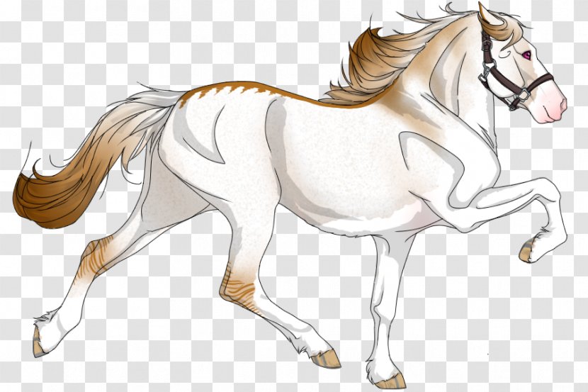 Foal Mane Stallion Colt Mare - Fictional Character - Mustang Transparent PNG