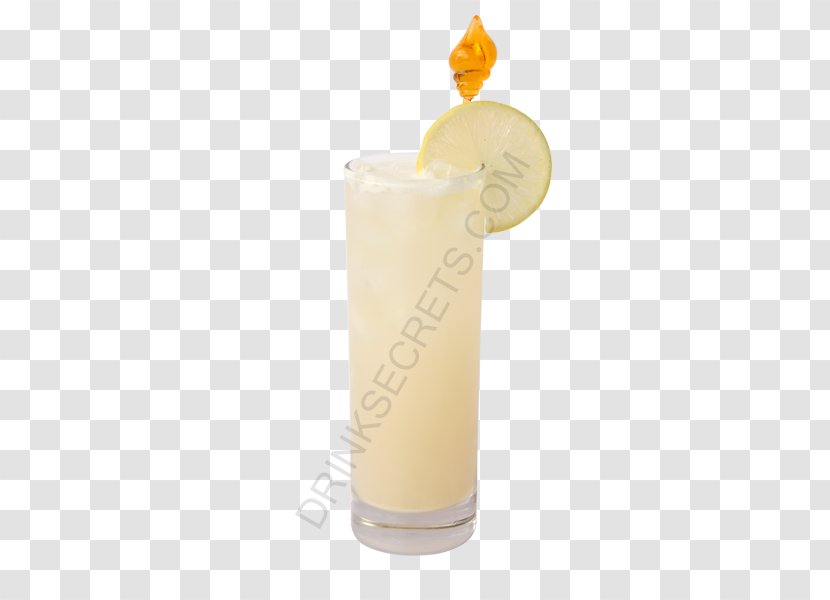 Harvey Wallbanger Piña Colada Cocktail Garnish Fuzzy Navel Batida - Nonalcoholic Drink - Drinking Coconut Transparent PNG