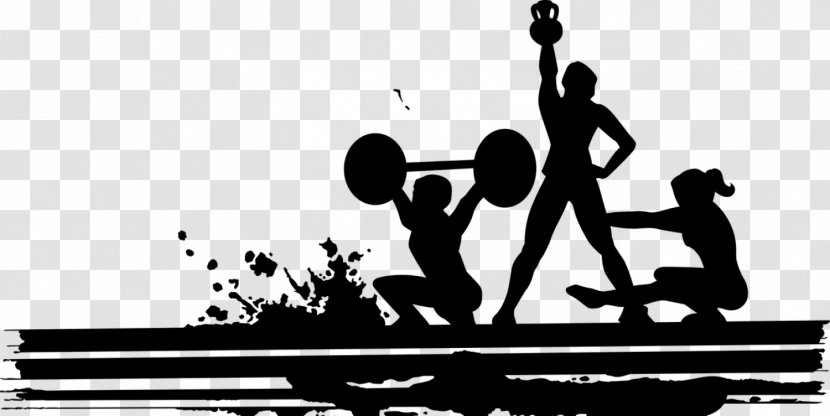 Physical Fitness Exercise Centre Barbell Transparent PNG