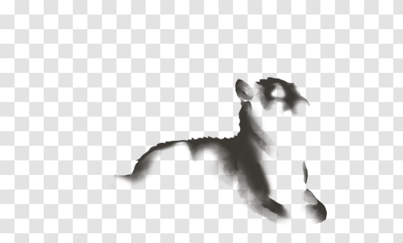 Cat Wikia Lion Dog - Like Mammal - Fuzzy Light Transparent PNG