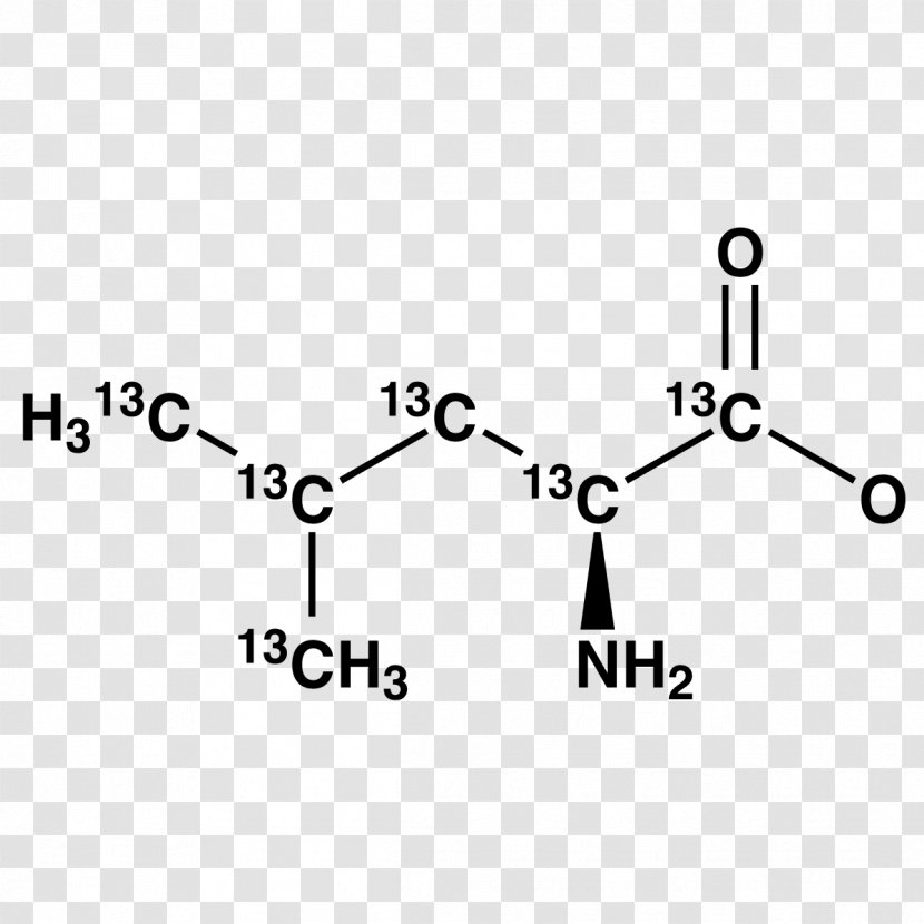 Methionine Acetone Propionaldehyde Amino Acid Methyl Group - Technology - Gammahydroxyvaleric Transparent PNG