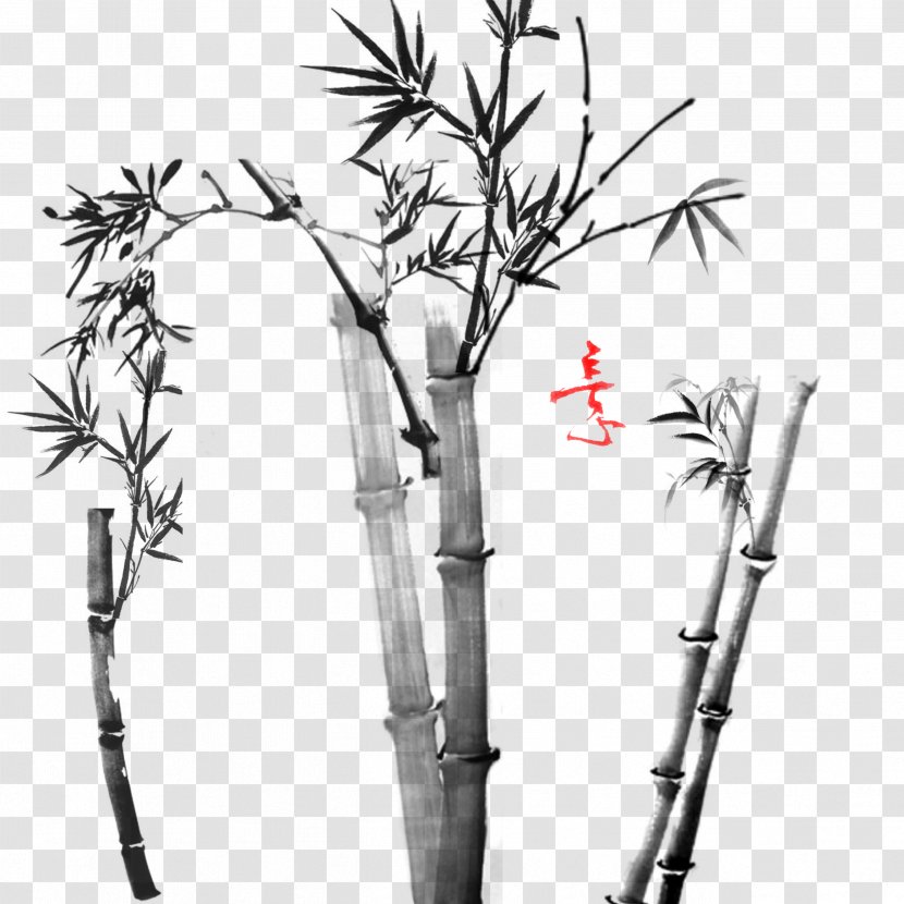 Download Elements, Hong Kong Bamboo Google Images - Flora - Freehand Transparent PNG