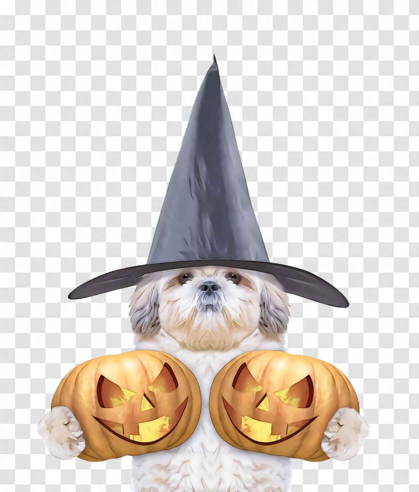 Party Hat - Shih Tzu - Costume Transparent PNG