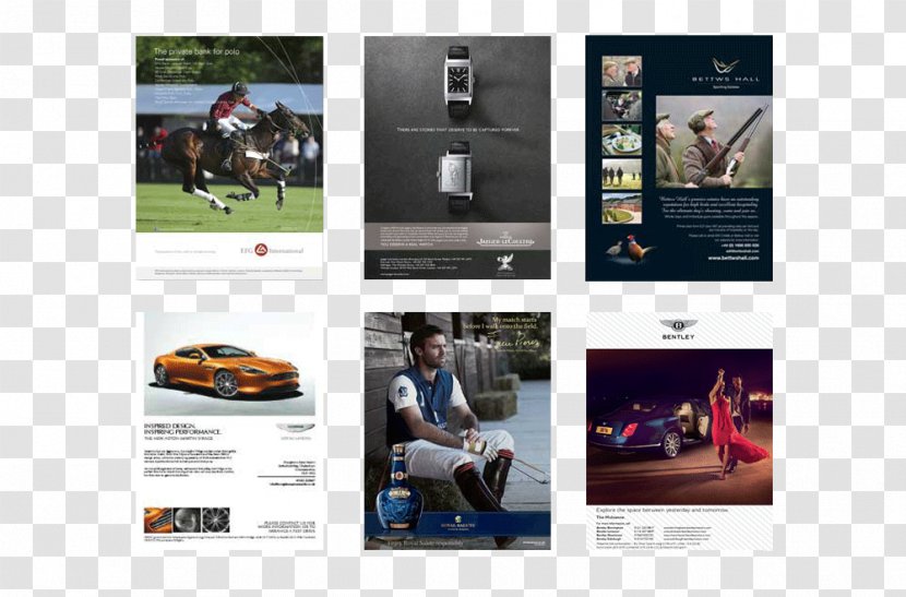 The Polo Magazine Multimedia Brand - Ads Transparent PNG