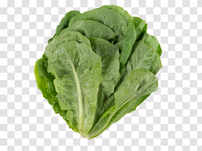 Romaine Lettuce Image Transparency - Food - Letucce And Translucency Transparent PNG