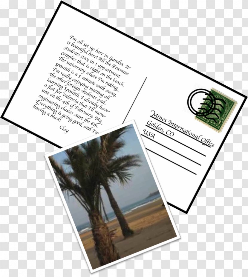 Advertising Brochure Font - Learning Postcard Transparent PNG