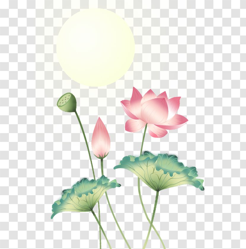 Nelumbo Nucifera Raster Graphics U84eeu306eu8449 - Pink - Mid-Autumn Festival Moon Lotus Element Transparent PNG