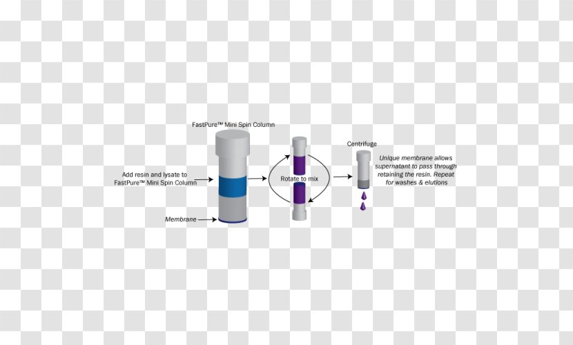 Spin Column-based Nucleic Acid Purification Protein Affinity Chromatography Centrifuge - Text Transparent PNG