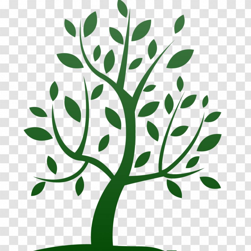 People, Even More Than Things, Have To Be Restored, Renewed, Revived, Reclaimed, And Redeemed; Never Throw Out Anyone. Interpersonal Relationship Coaching Divorce Woody Plant - Tree Transparent PNG