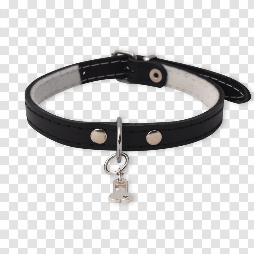 Bracelet Dog Collar Necklace - With Transparent PNG