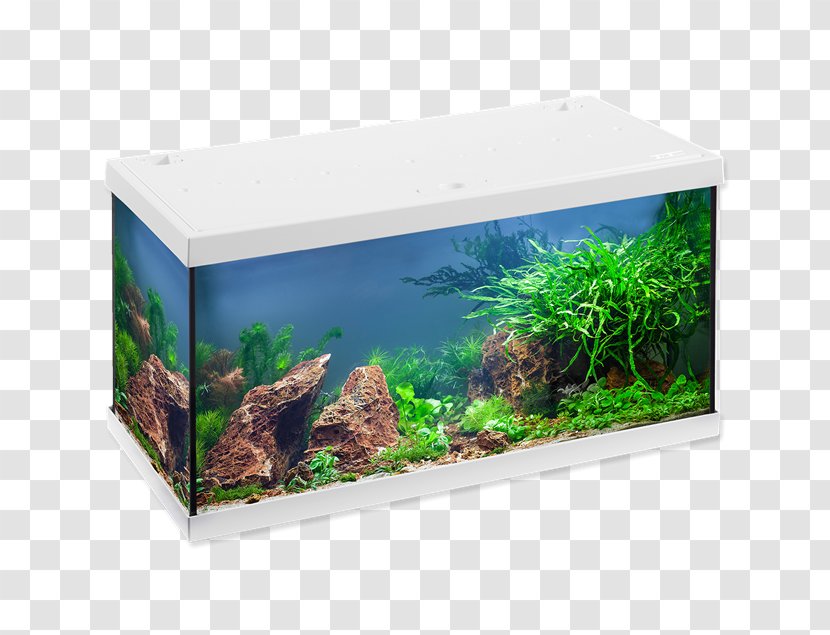 Aquarium Light-emitting Diode Eheim Lighting - Fishkeeping - Light Transparent PNG