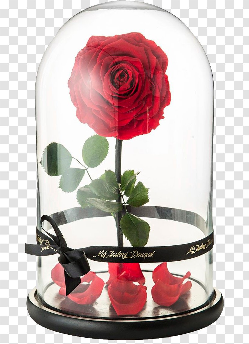Belle Beast Rose Flower Floral Design - Tableware Transparent PNG