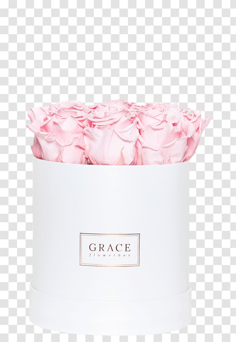 Flavor Pink M Cream - Wedding Transparent PNG