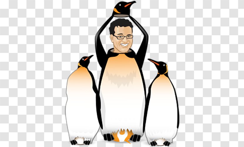 Yoast Search Engine Optimization King Penguin Advertising - Bird - Kued Transparent PNG