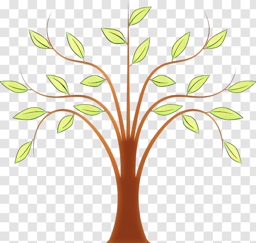 Weeping Willow Tree Drawing - Twig Grass Transparent PNG