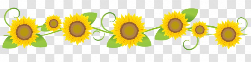 Sunflower Flower Line Art. - Cartoon - Frame Transparent PNG