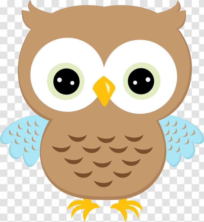Little Owl Clip Art - Beak - Pretty Clipart Transparent PNG