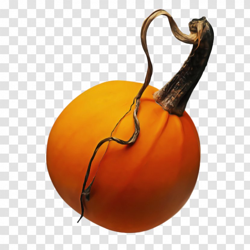 Orange - Vegetable - Fruit Cucurbita Transparent PNG