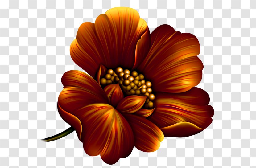The Divan Of Hafez Fortune-telling Chrysanthemum Le Coffret De Mélusine Computer Program - Chrysanths Transparent PNG