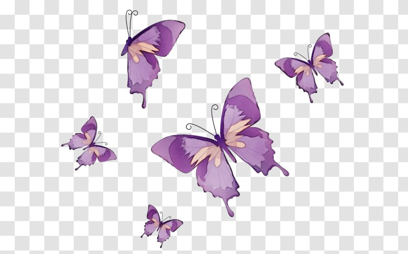 Purple Watercolor Flower - Butterflies - Lycaenid Bellflower Family Transparent PNG