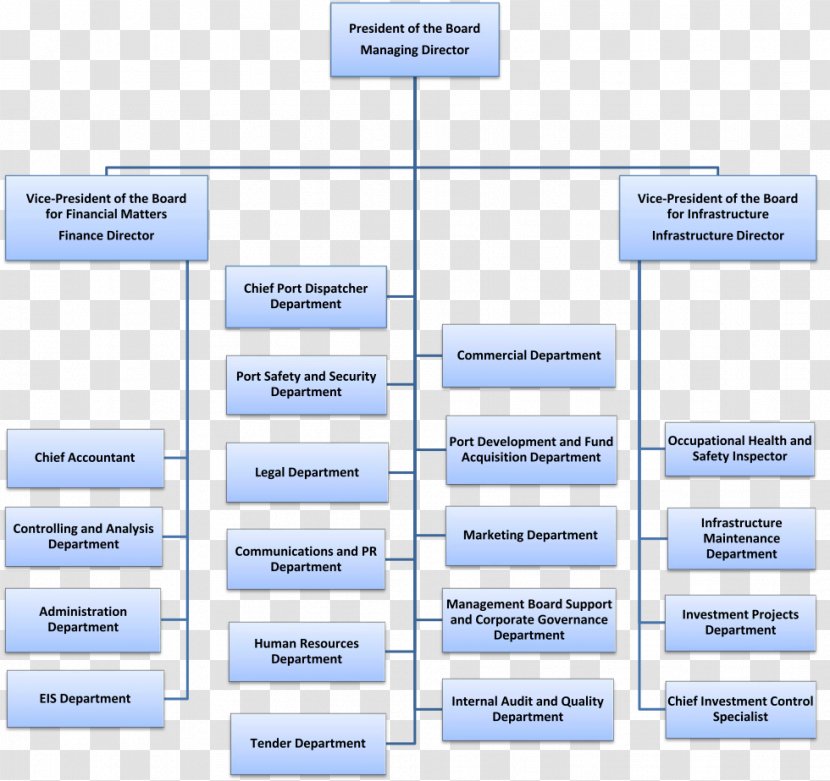 Organizational Chart Management Hierarchical Organization Board Of Directors - Authorities Transparent PNG