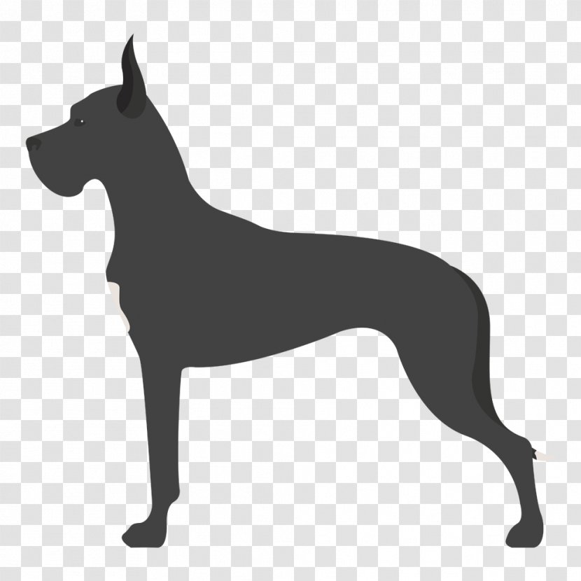 Great Dane Dog Breed Dobermann Boxer German Shepherd - Carnivoran Transparent PNG