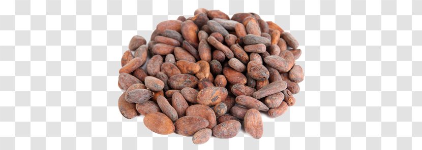 Cocoa Bean Criollo Solids Chocolate Food - Goji Transparent PNG