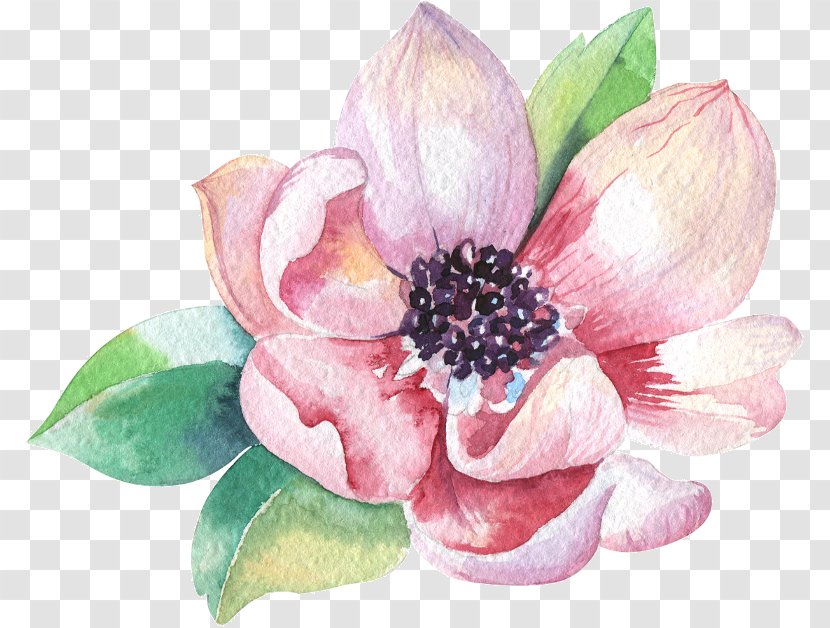 Watercolor Painting Stock Photography Royalty-free - Royaltyfree - Magnolia Transparent PNG