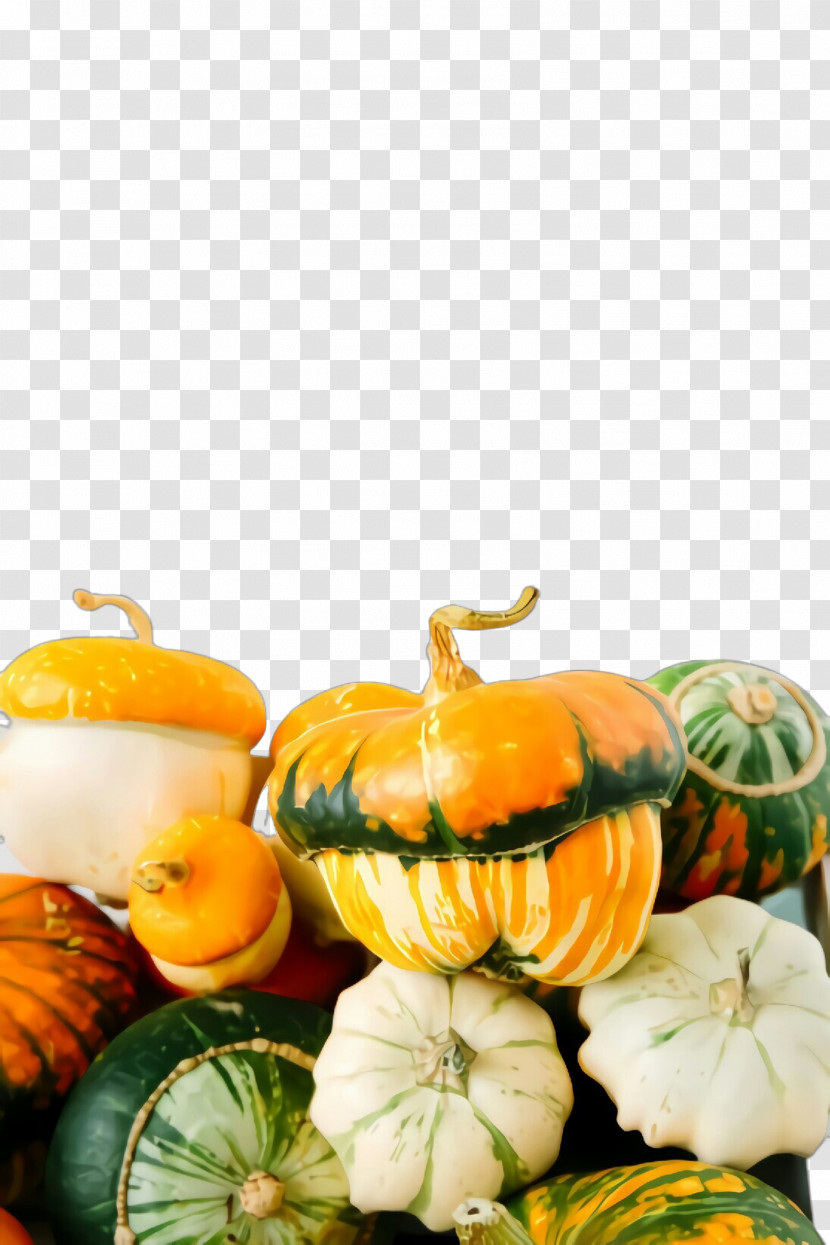 Pumpkin Transparent PNG