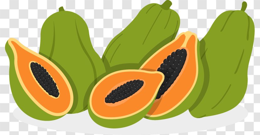 Papaya Euclidean Vector Fruit Illustration - Orange Transparent PNG