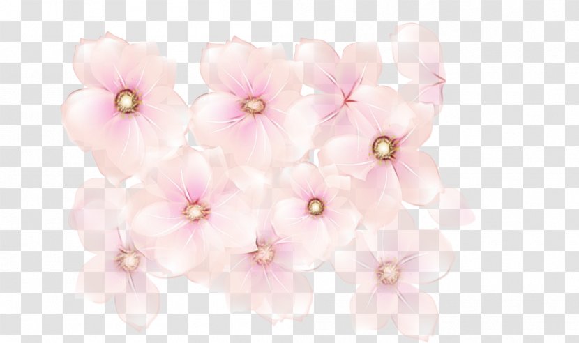 Cherry Blossom - Paint Transparent PNG
