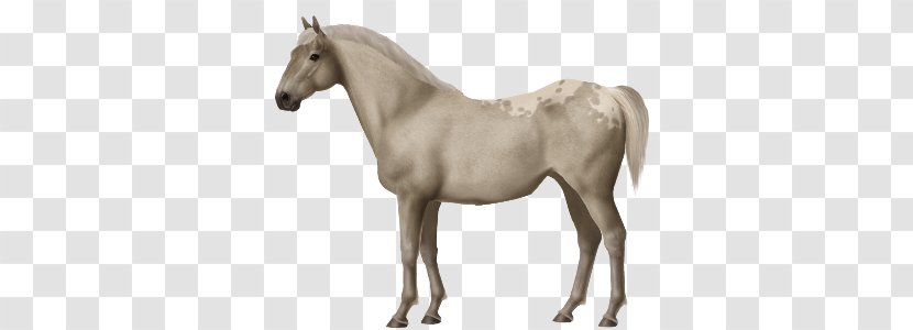 Mustang Morgan Horse American Quarter Mane The Sims 3: Pets - Training Transparent PNG
