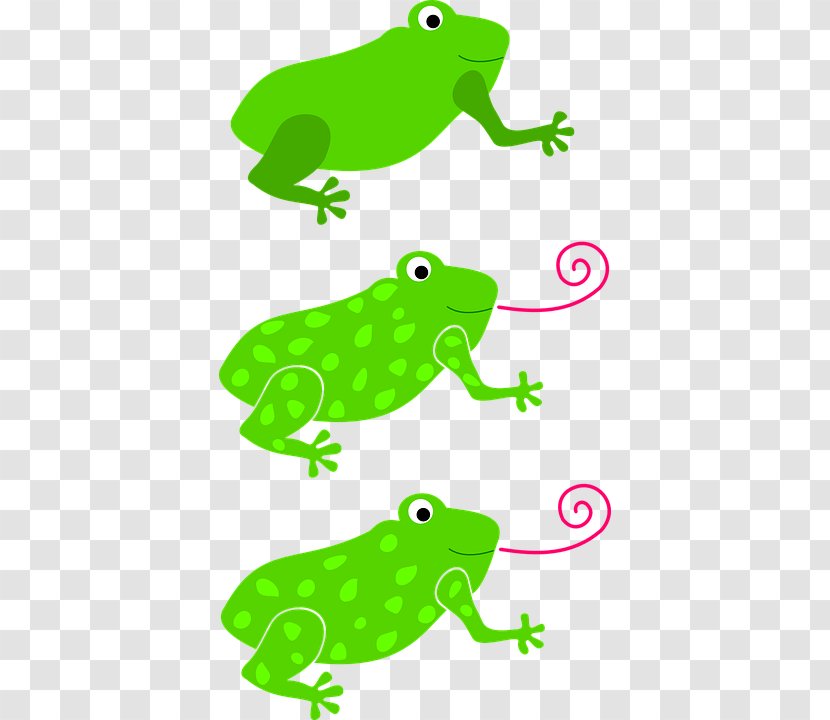 Frog Amphibian Clip Art - Tongue Transparent PNG