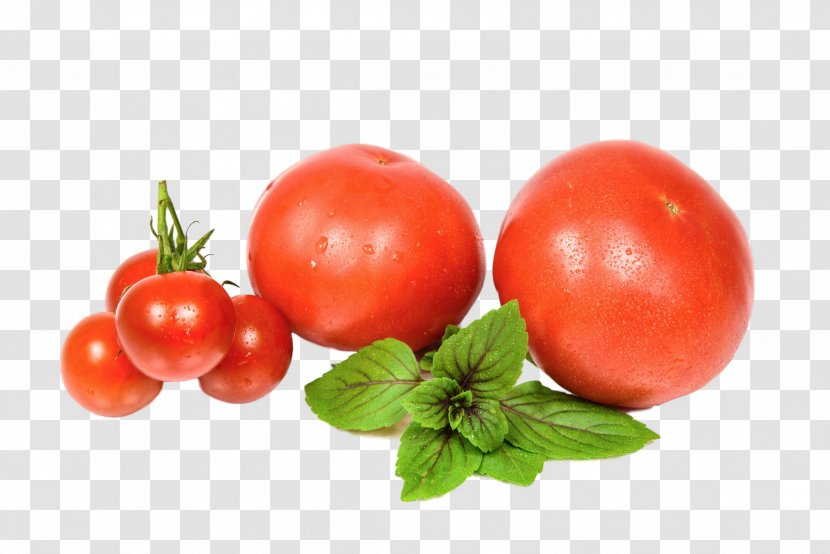 Tomato Organic Food Recipe Salad - Silhouette - Flower Transparent PNG