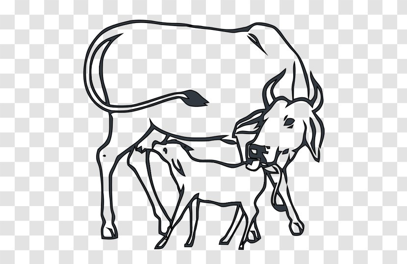 Cow-calf Operation Indian National Congress Beef Cattle - Rein - India Transparent PNG