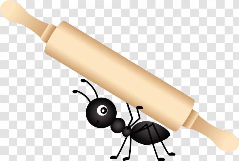Ant Food Stock Photography Clip Art - Animation - Ants And Rolls Transparent PNG
