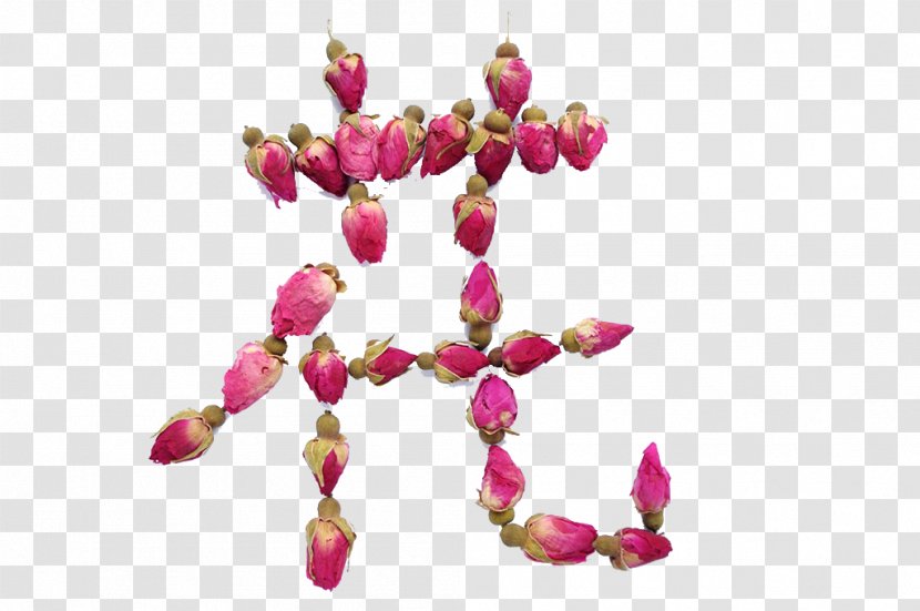 Flowering Tea Download - Blossom - Rose Transparent PNG