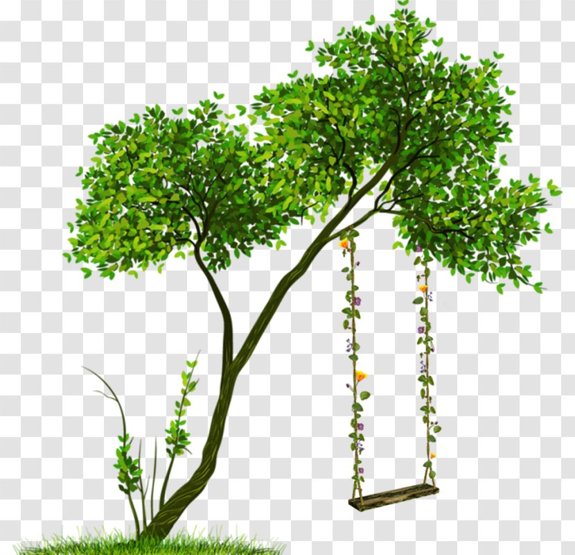 Tree Transparency Clip Art Shrub - Plants Transparent PNG