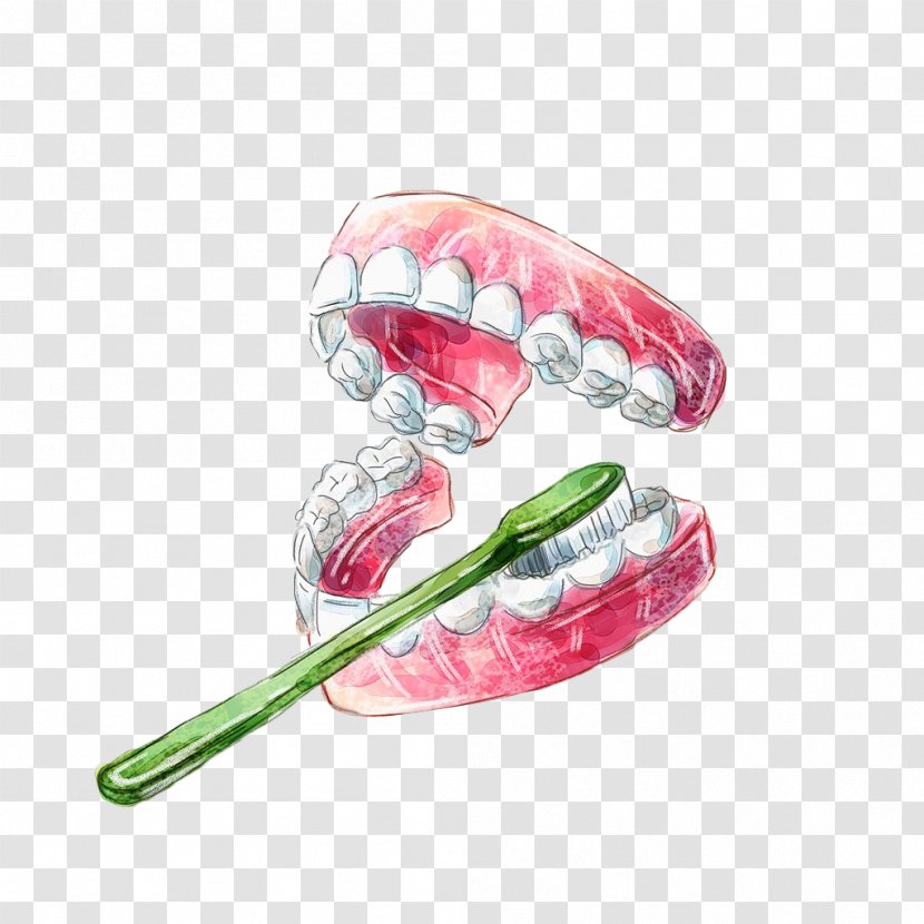 Tooth Brushing Gums Dental Calculus Gingivitis - Dentistry - Hand Painted Teeth To Brush Your Transparent PNG