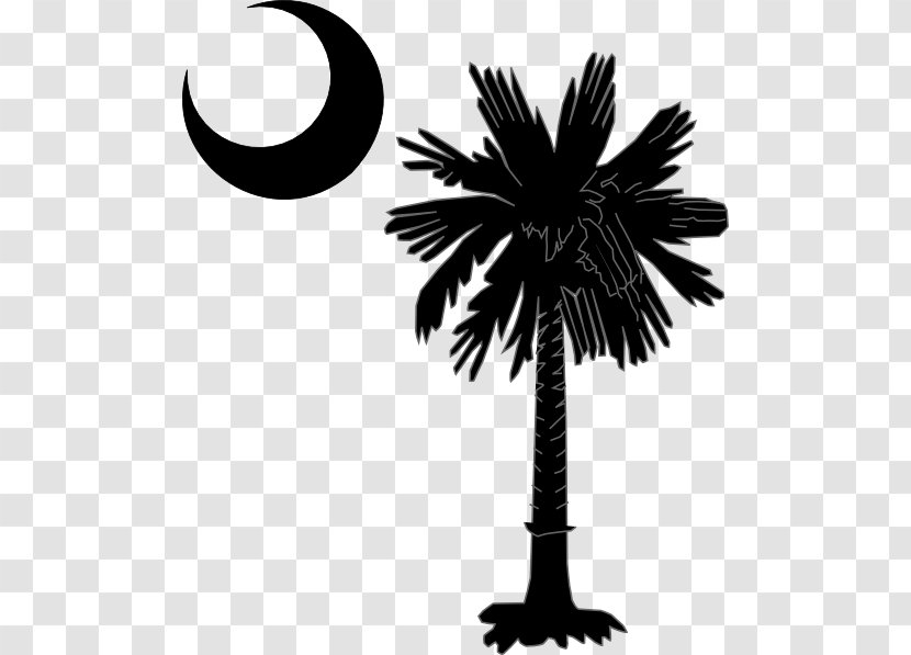 Sabal Palm Flag Of South Carolina Arecaceae Decal - Arecales Transparent PNG