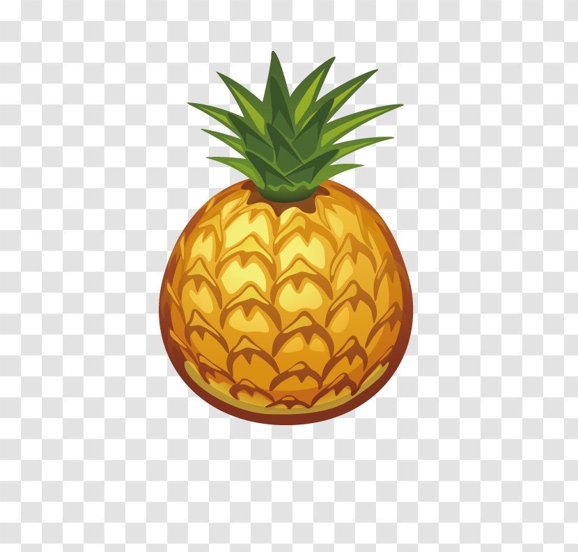 Drawing Pineapple Photography Auglis Sketch - Monochrome - Delicious Transparent PNG