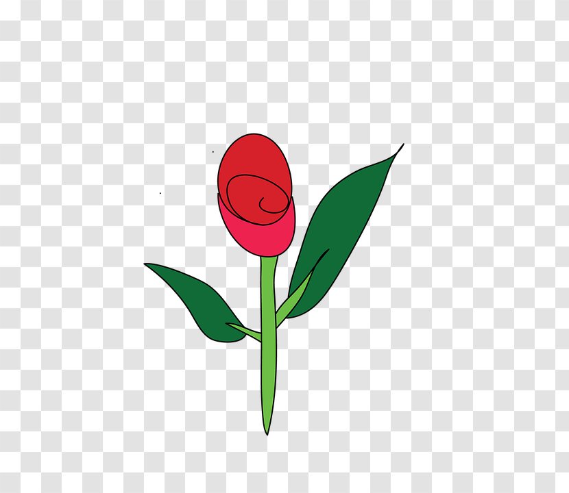Garden Roses Flower - Plant - Rose,green,flower Transparent PNG