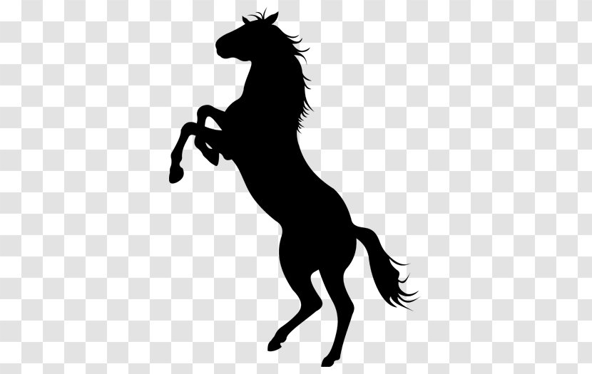 Mustang Appaloosa Stallion Silhouette - Animal Figure Transparent PNG