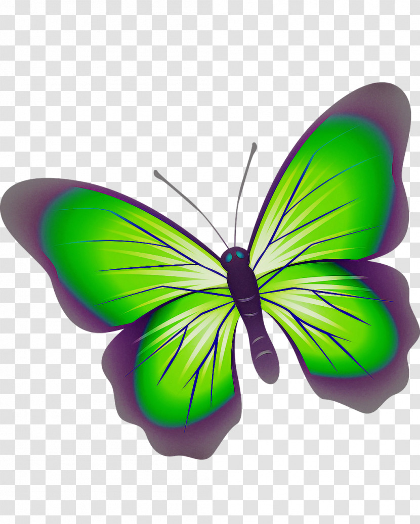 Monarch Butterfly Transparent PNG