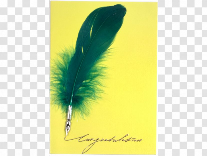 Paper Feather Pen Stationery - Quill - Congratulate The Card Transparent PNG